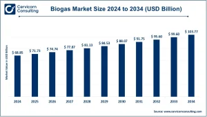 Read more about the article Biogas Market Growth Outlook, Trends, and Key Players 2025–2034