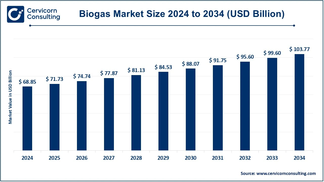 You are currently viewing Biogas Market Growth Outlook, Trends, and Key Players 2025–2034
