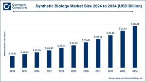 Read more about the article Synthetic Biology Market Dynamics, Trends, and Growth Opportunities by 2034