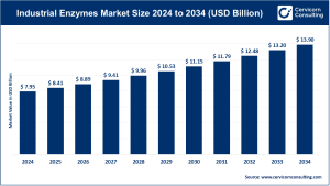 Read more about the article Industrial Enzymes Market Trends, Drivers, and Forecast by 2034